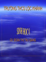Tiết 45 : Giới thiệu chung về hệ thấn kinh