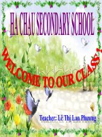 unit 6 bài 13 activities and the seasions