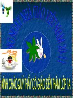 TN XH: bài 11: Gia đình