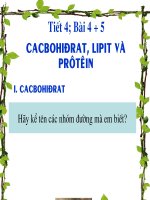 bài 4 cacbohidrat va lipit