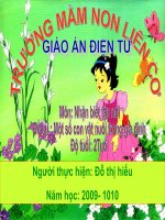 con vat trong gia dinh