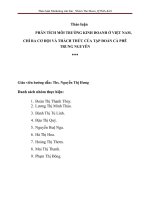 Môi trường kinh doanh ở Việt nam hiện nay. Cơ hội và thách thức của môi trường đối với doanh nghiệp cà phê Trung Nguyên