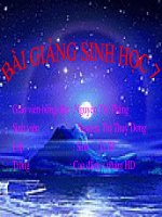 bai 54. tien hoa ve to chuc co the