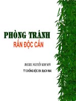 phòng tránh rắn độc cắn