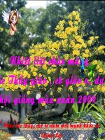 toan 1 phep tru trong pham vi 100