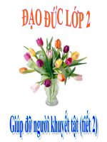 Giup do nguoi khuyet tat (T2) - Lớp 2