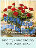 bai 20: xd va pt vh dan toc trong cac the ki X-XV