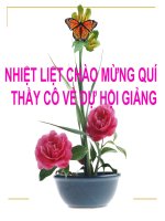 PT THAM SO DUONG THANG