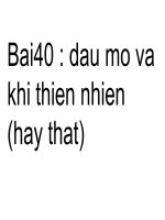 bài 40 : DẦU MỎ VÀ KHÍ THIÊN NHIÊN