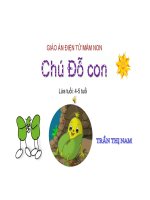 Chú đỗ con