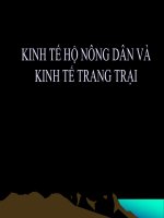 bài giảng kinh tế hộ nông dân và kinh tế trang trạii