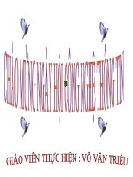 TV3 -Họ noi- ngoai