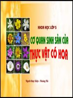 Bai 51- Co quan sinh san cua hoa