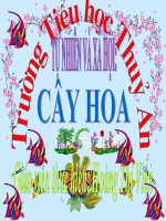 bai 23: Cay Hoa