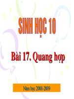 bài 17 quang hop