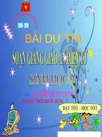 Anh huong lan nhau giua cac SV(Hoi giang)