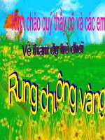 Ruong vang lop 3 (Trac nghiem)