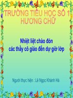 TNXH L2 mot so laoi vat song tren can