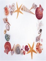 Khung hình Power Point