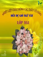 Tiết 128 của Tươi