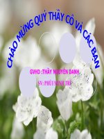 bai 25: hieu dien the