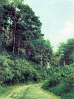 bài 12 hô hấp ở thực vật