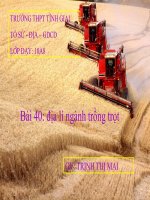 Bài 40: Địa lí ngành trồng trọt
