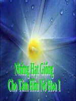 Những hạt giống cho tâm hồn nở hoa