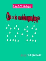 giáo án đạt giải vòng tỉnh