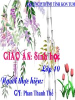 bài 11 vận chuyển các chất qua màng