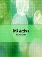 DNA Vaccines