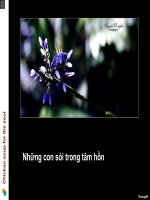 Nhung con soi trong tam hon