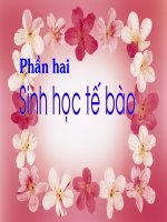 bài 3 cac nguyen to hoa hoc va nuoc