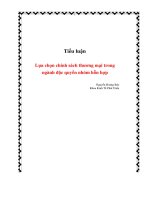 tiểu luận lựa chọn chính sách thương mại trong ngành độc quyền nhóm hỗn hợp