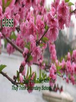 Tiết 53, Anh 9: Unit 8: Celebrations