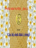 Hệ sinh thái rừng