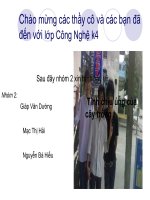 tình trạng ngập úng của cây trồng