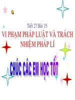 Vi phạm pháp luật và trách nhiệm pháplý