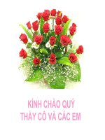 trả bài viết số 6