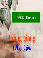 TRANG GIANG RAT HAY VA CUC CHI TIET