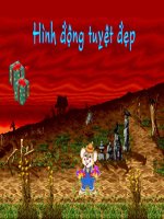 hình động tổng hợp, hình nền động