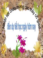 Tiet 46 cao trao cach mang tien toi TKN t8 ( tiet 1)