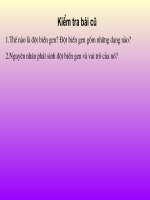 Đột biến cấu trúc NST.