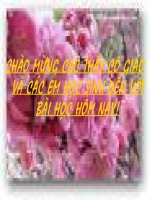 Tràng Giang  - Huy Cận