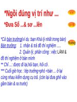 Thành phần  Btt -từ trường tráiđất