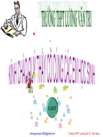 HIDROSUNFUA (HAY LAM)