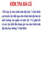 Bài 45 : Hiệu suất và dòng năng lượng trong hệ sinh thái