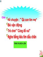 Gà con tìm mẹ
