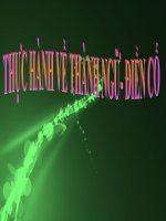 Thực hành thành ngữ và điển cố