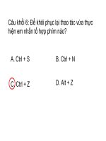 Cau hoi Tin Hoc_Bich Ngoc